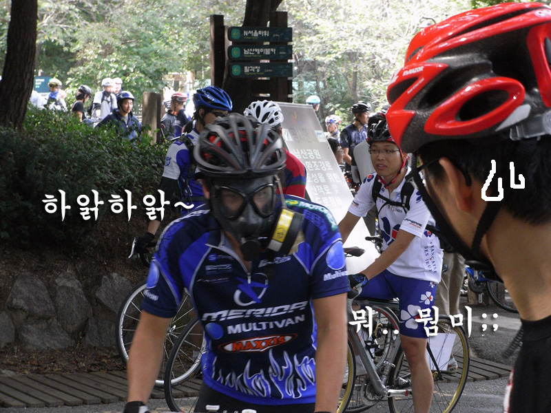 디시 인사이드 자전거