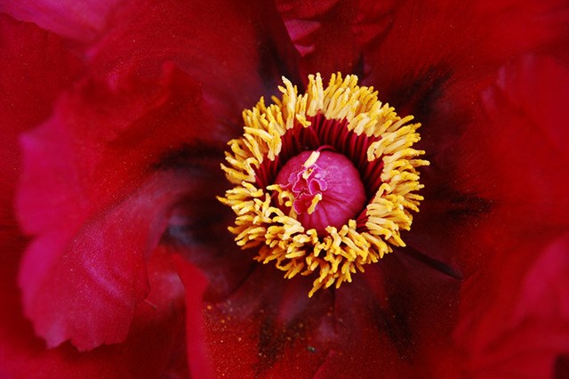 DSC_0026.jpg