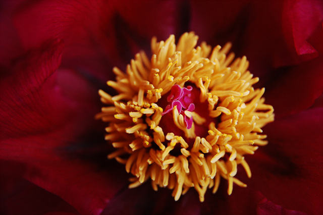 DSC_0064.jpg