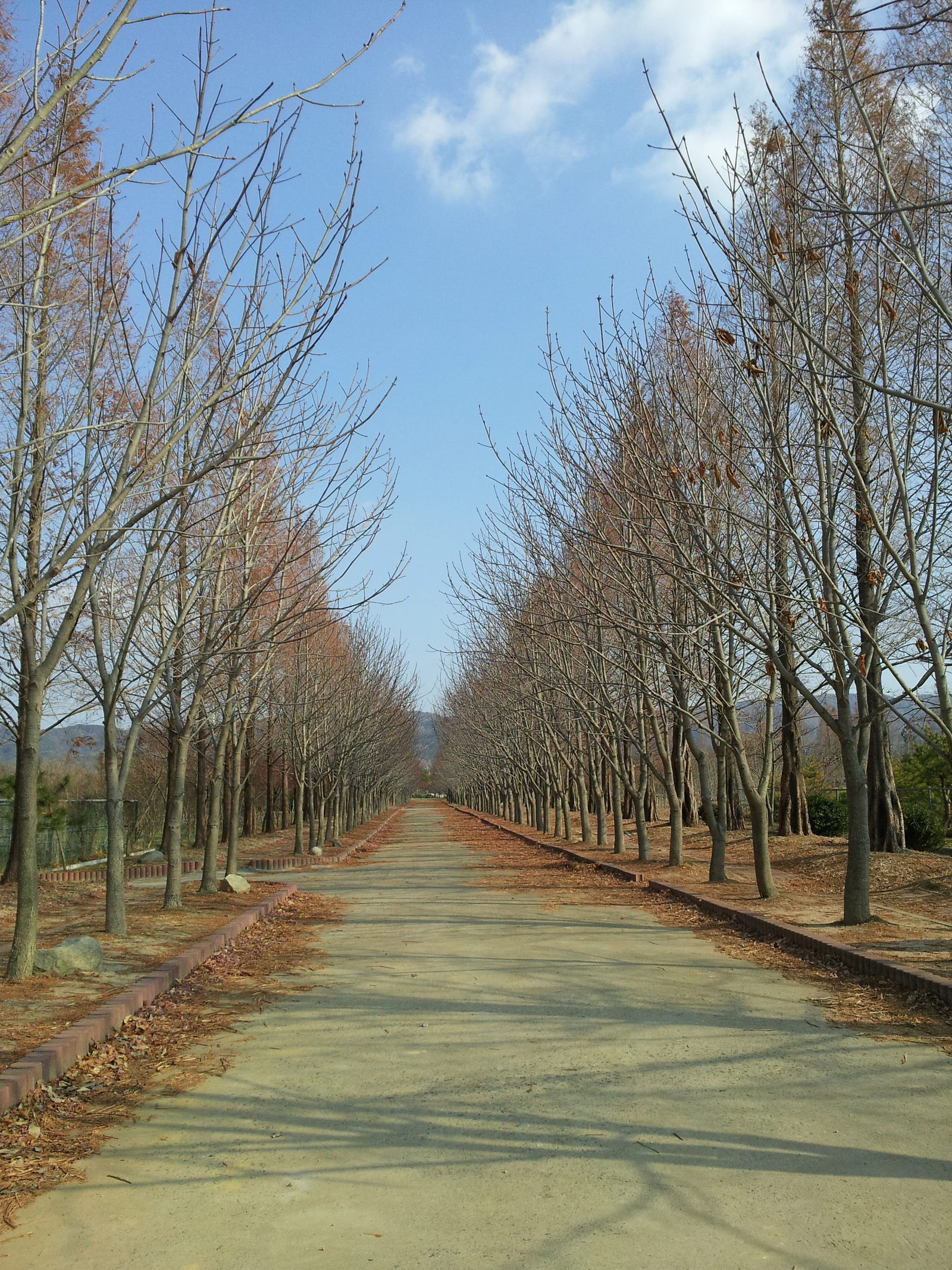 꾸미기_20131207_130848.jpg : 경주의 겨울 입니다~!!