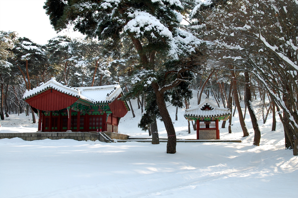 DSC_1915.jpg
