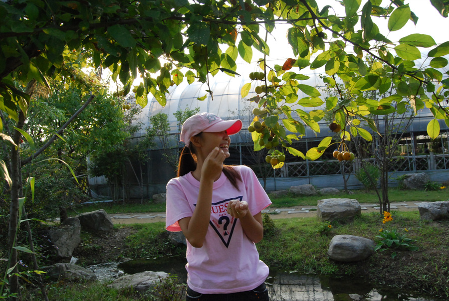 g 045.jpg