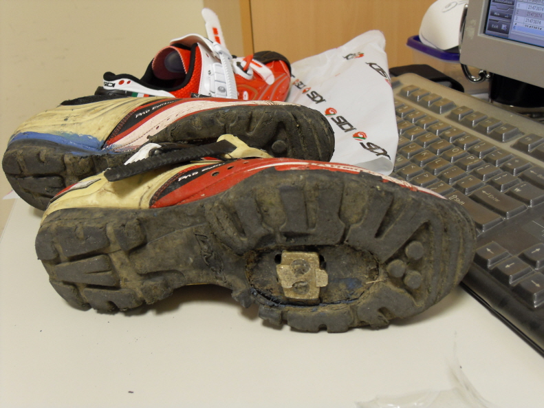 SDC12290.JPG