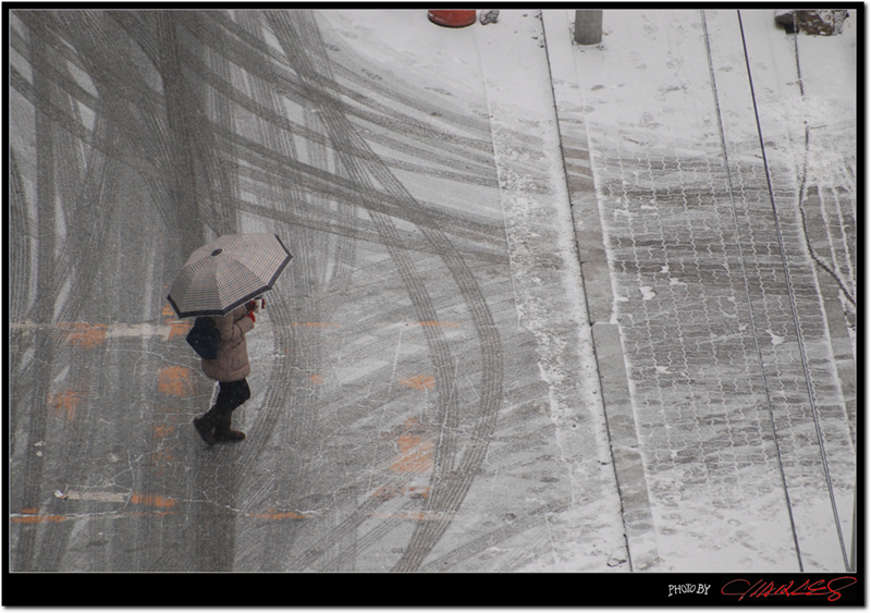 DSC_0731.jpg