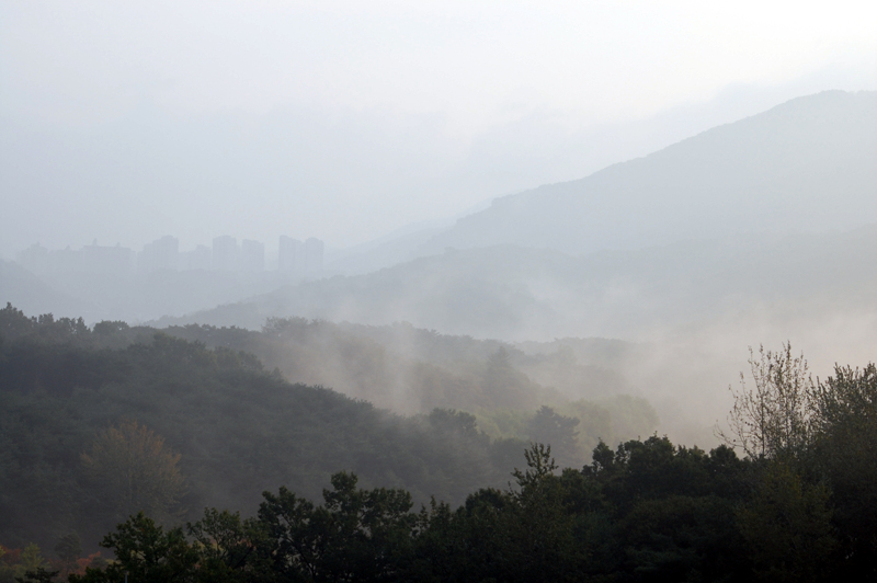 DSC_0543.jpg