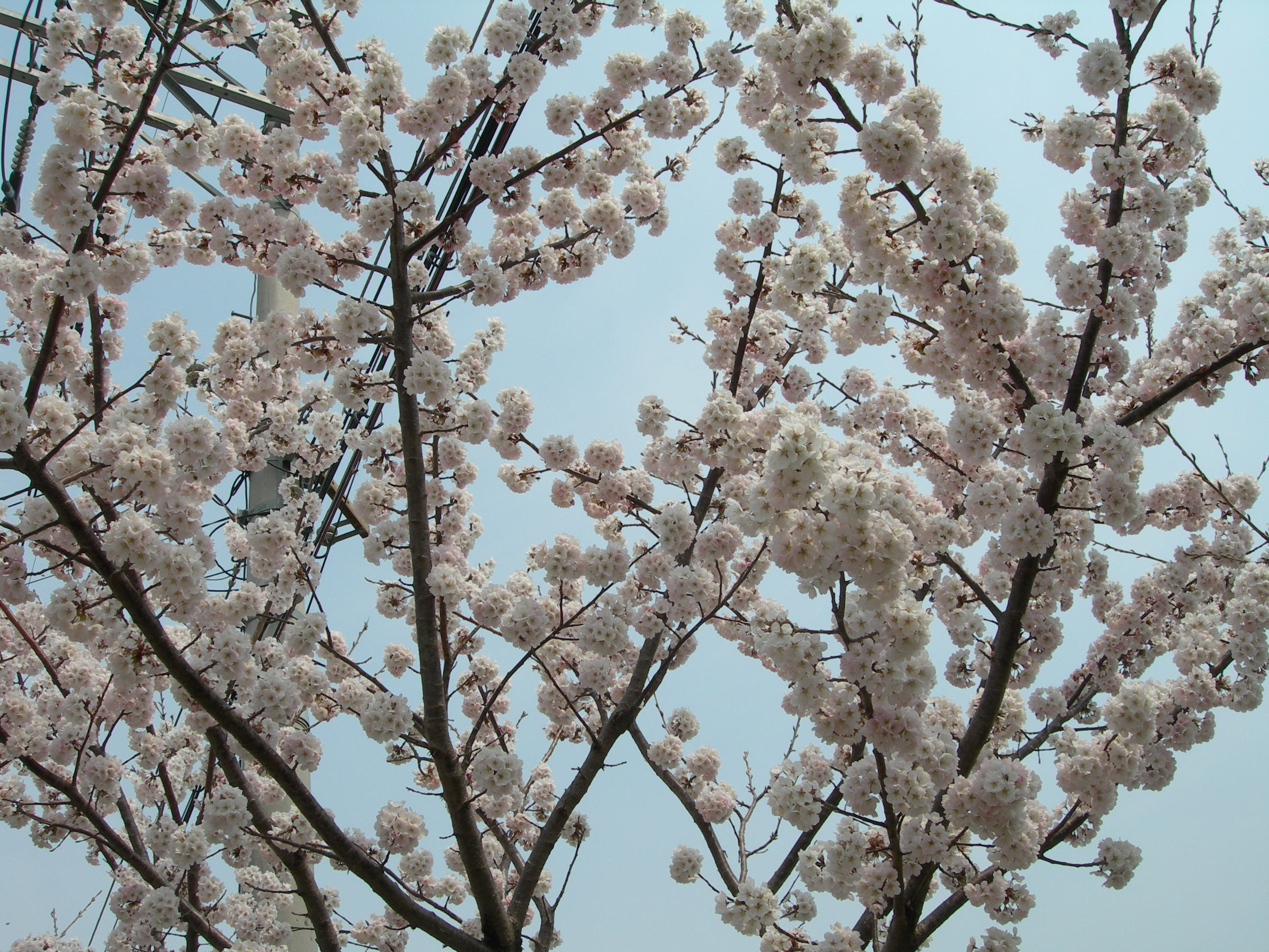 DSCN1332.JPG
