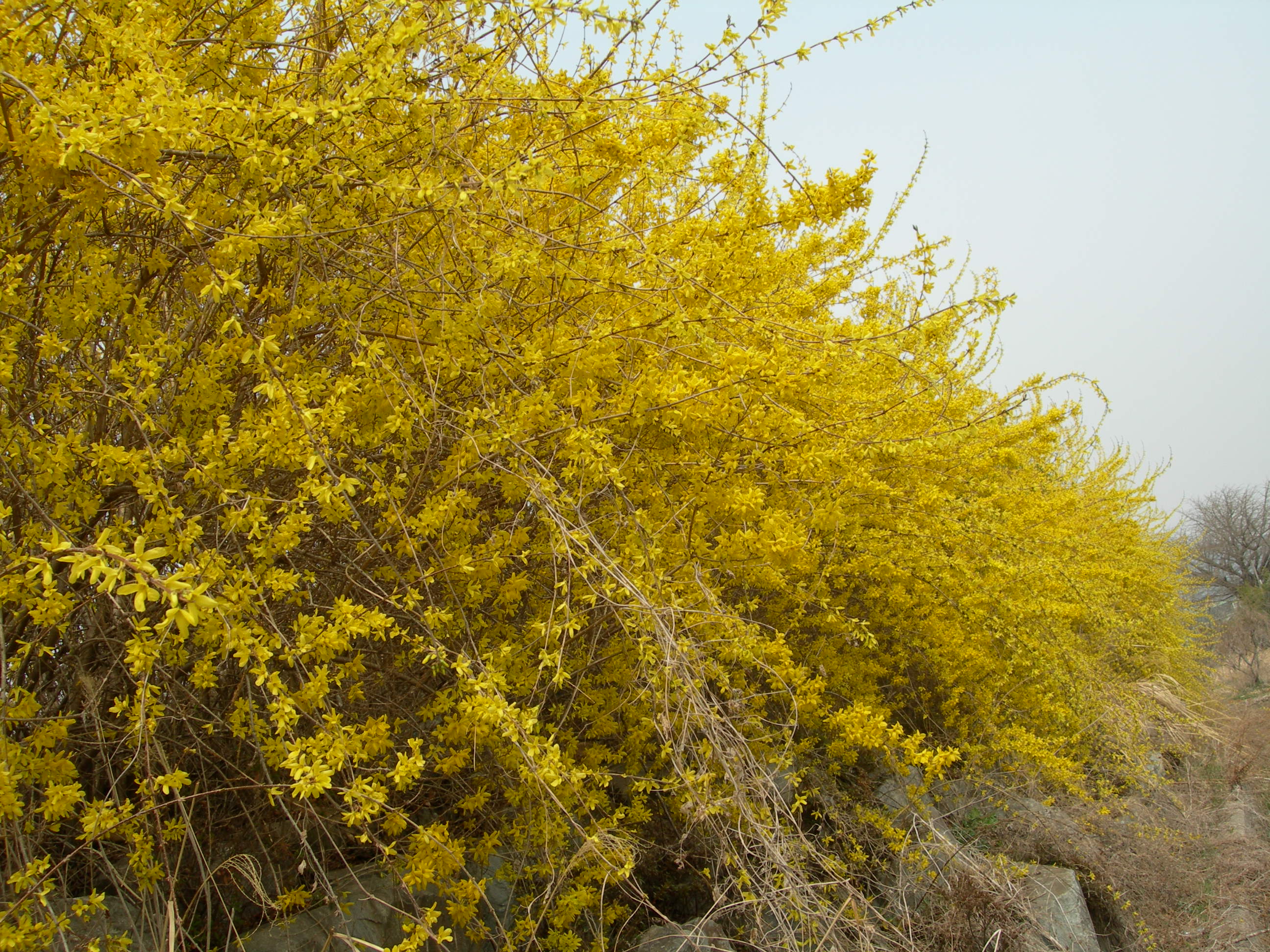 DSCN1334.JPG