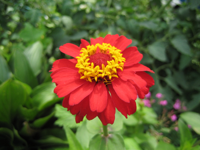 사진 029.jpg