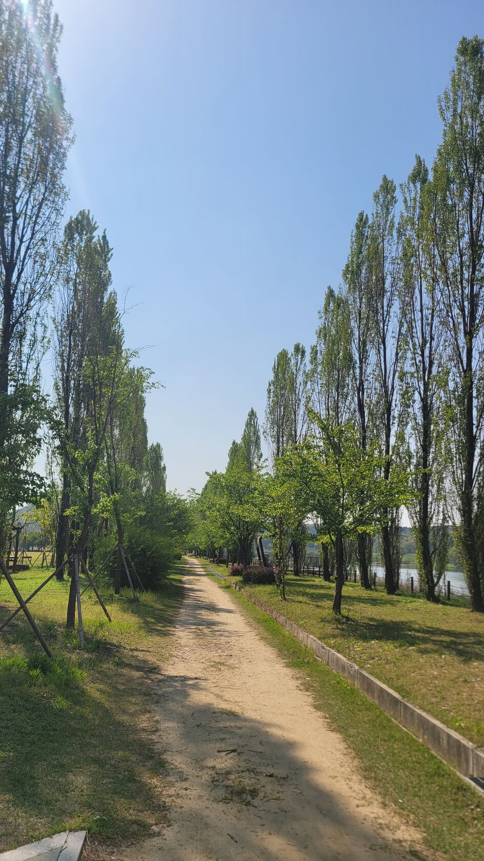 20250426_095306.jpg