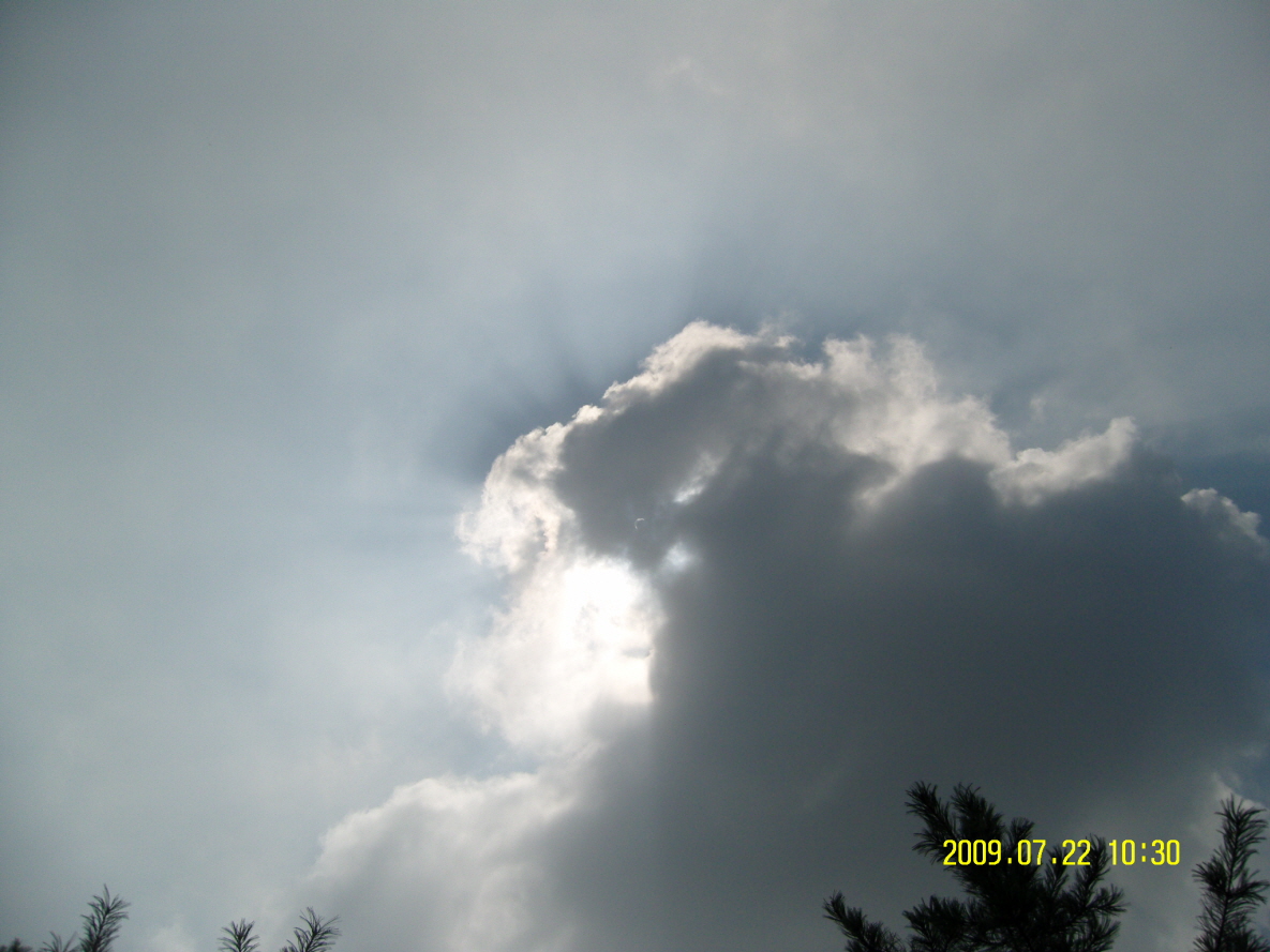 SN202319.JPG
