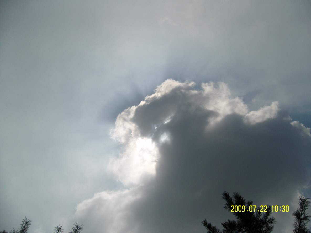 SN202320.JPG
