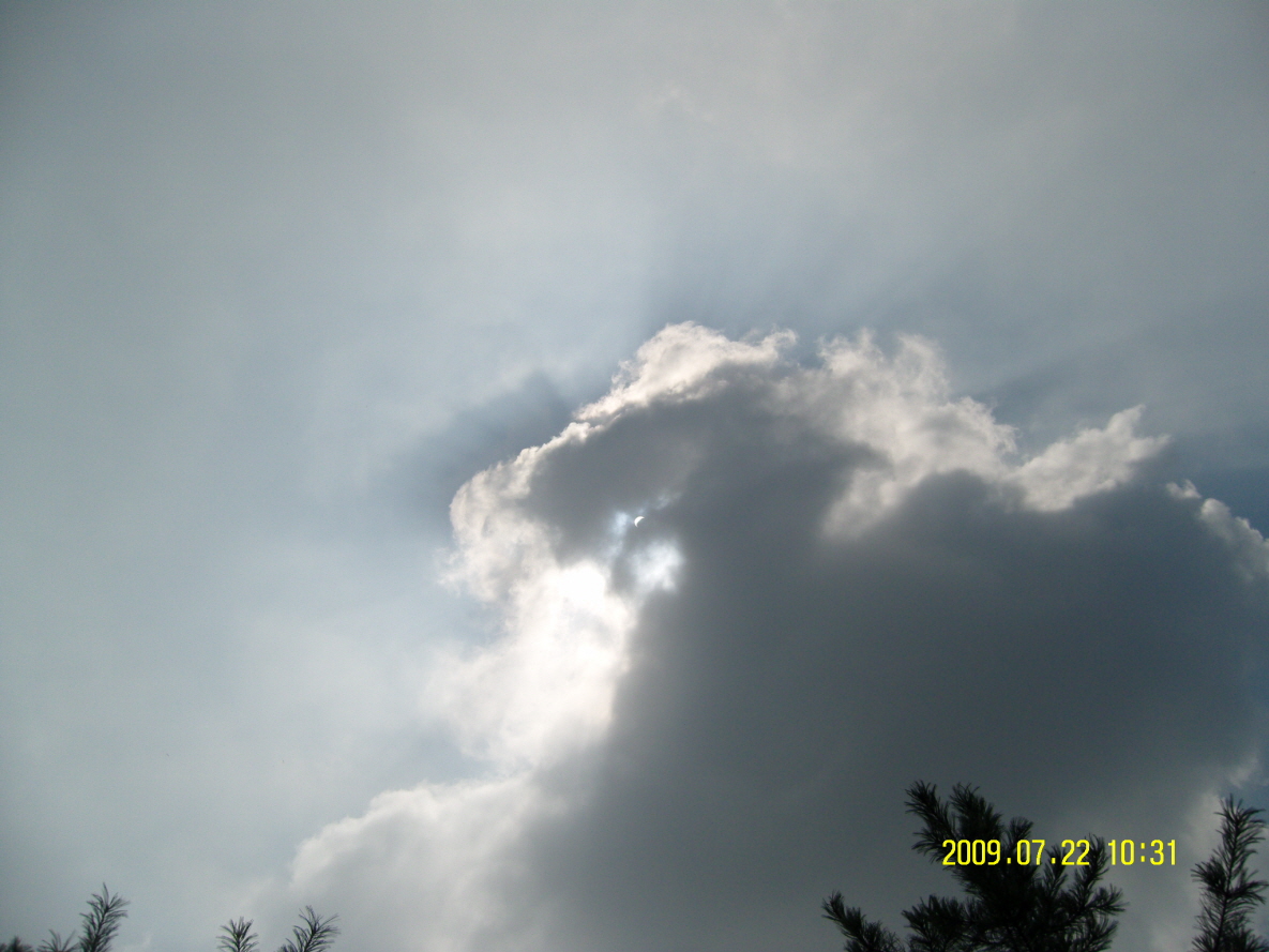 SN202321.JPG