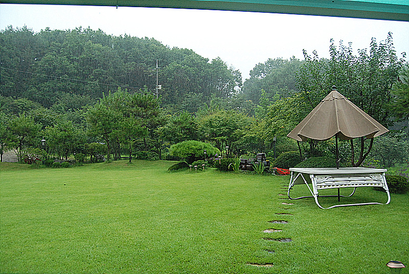 p 044.jpg