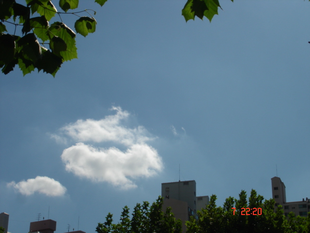 가을초입 003.jpg