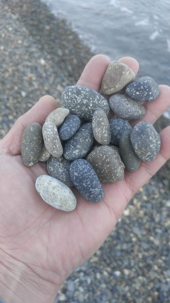 20181117_155112_HDR.jpg