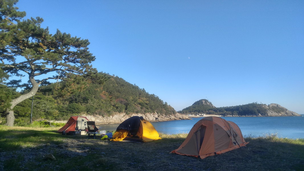 20181117_153329_HDR.jpg