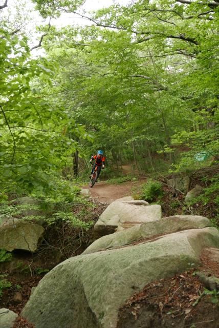 L1340784_640x428.jpg