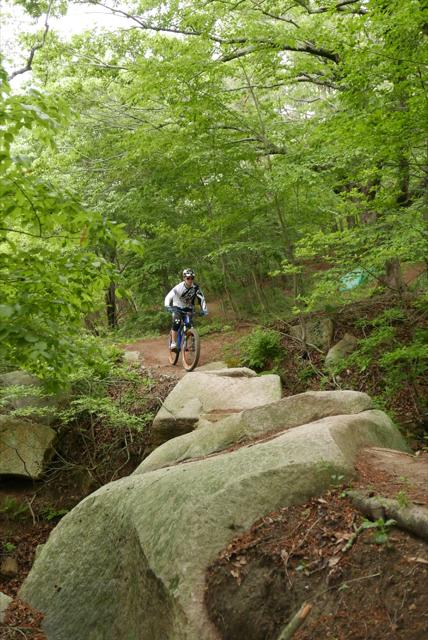L1340787_640x428.jpg
