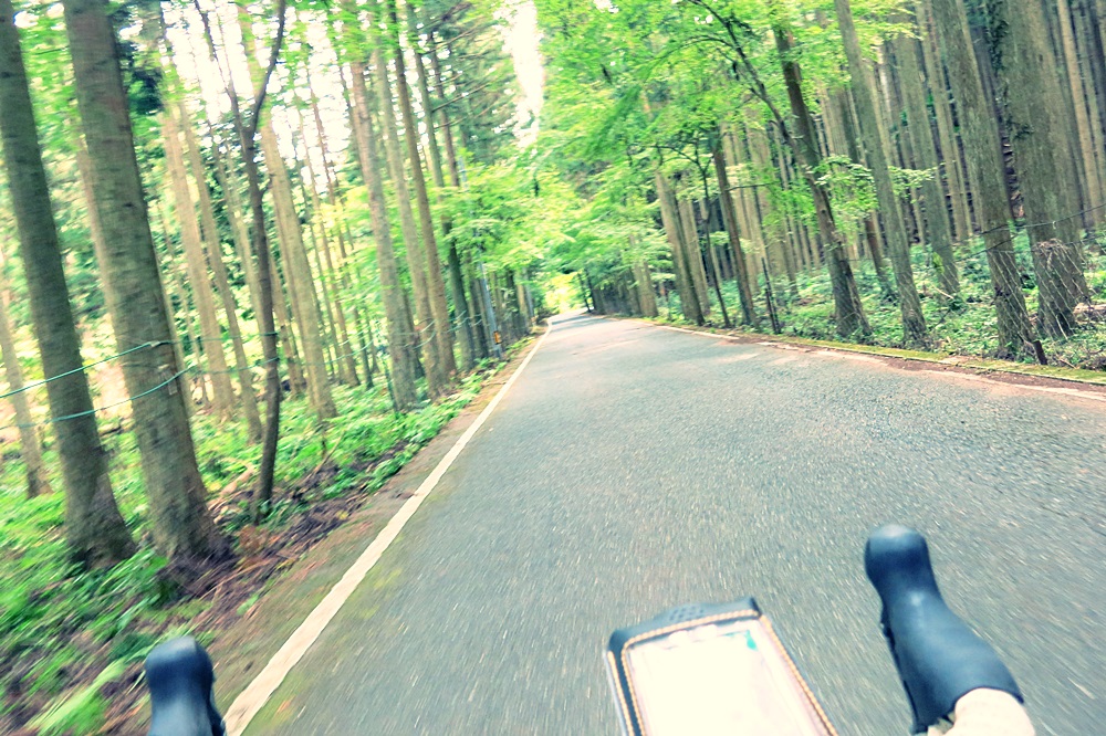 20161015-IMG_5569.jpg