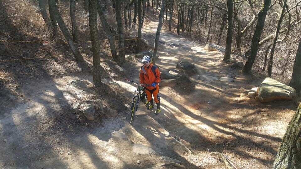 KakaoTalk_20170116_131515119.jpg