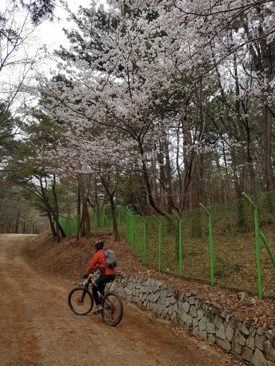 크기변환_20170326_104455.jpg
