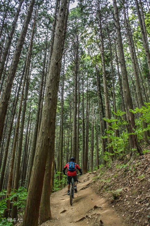 DSC_3365.jpg