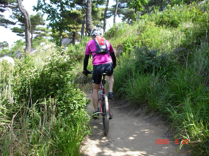 20090620 (3).JPG