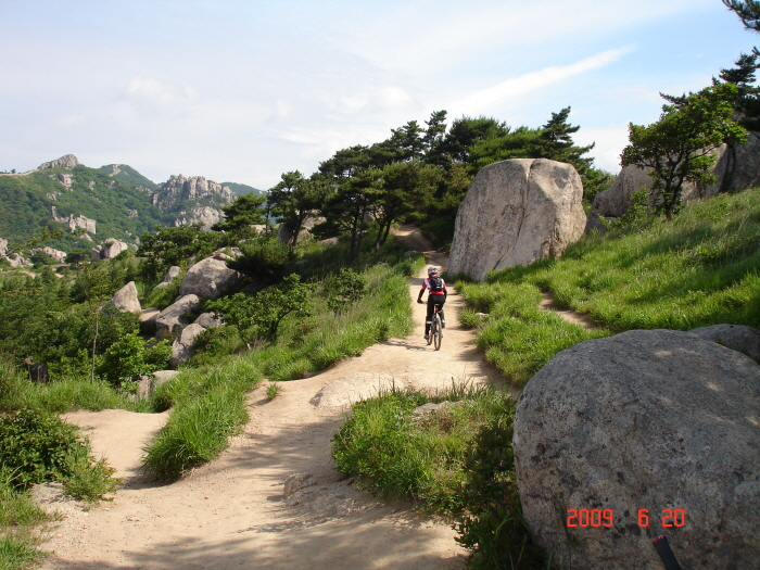 20090620 (10).JPG