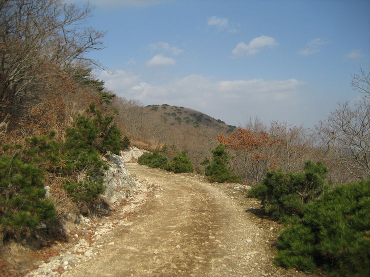 천성산 (33).JPG