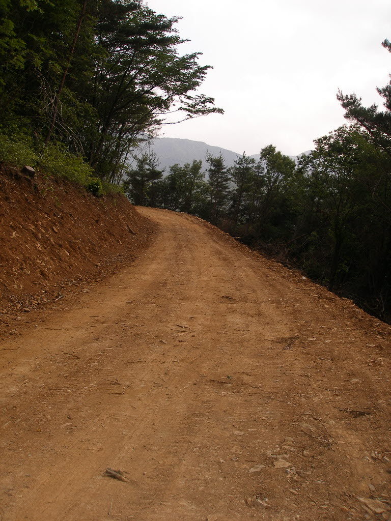 P6062250.JPG