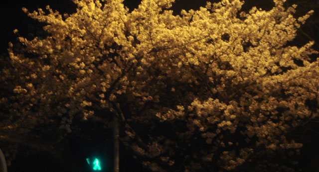 DSC00013.JPG