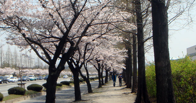 DSC00016.JPG