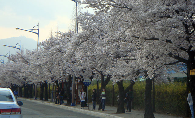 DSC00011.jpg