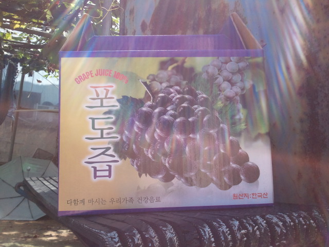 2010-09-23 13.38.34.jpg