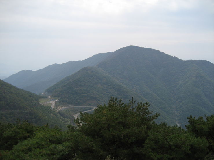 한우산임도 017.jpg