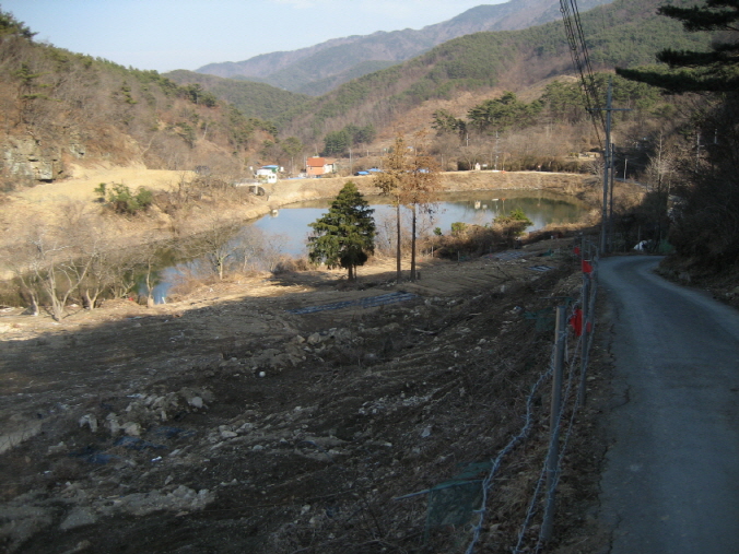 20110305 011.jpg