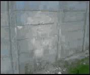 1251362787_222.gif