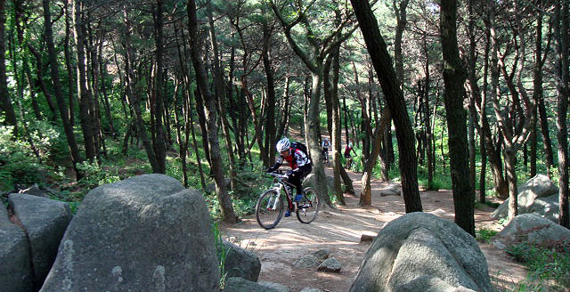 DSC02213.jpg