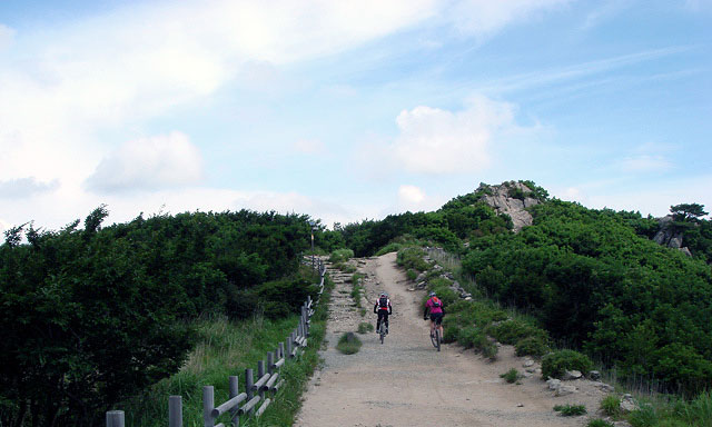 DSC02256.jpg