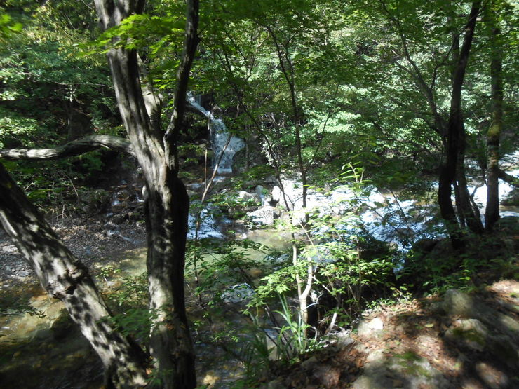 DSCN4425.JPG