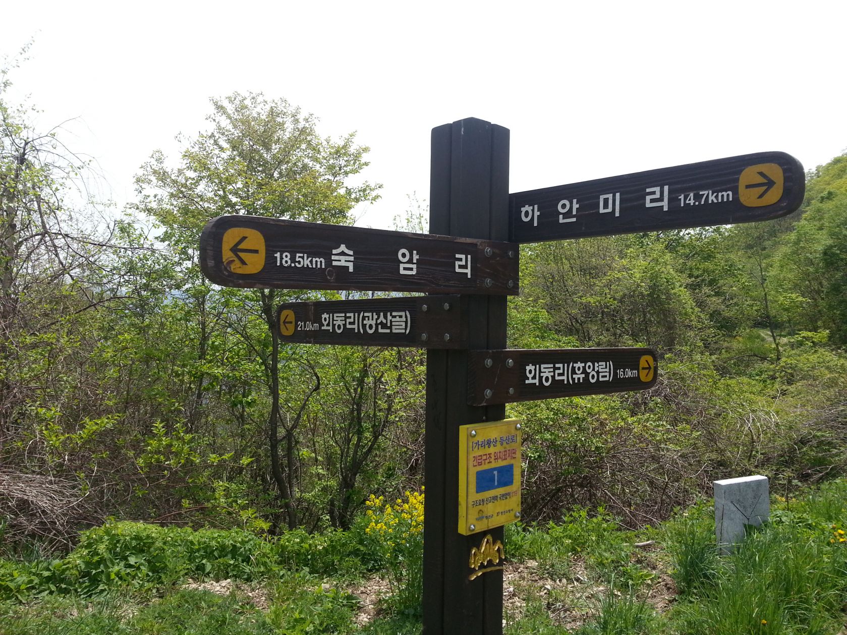 20140517_132151.jpg