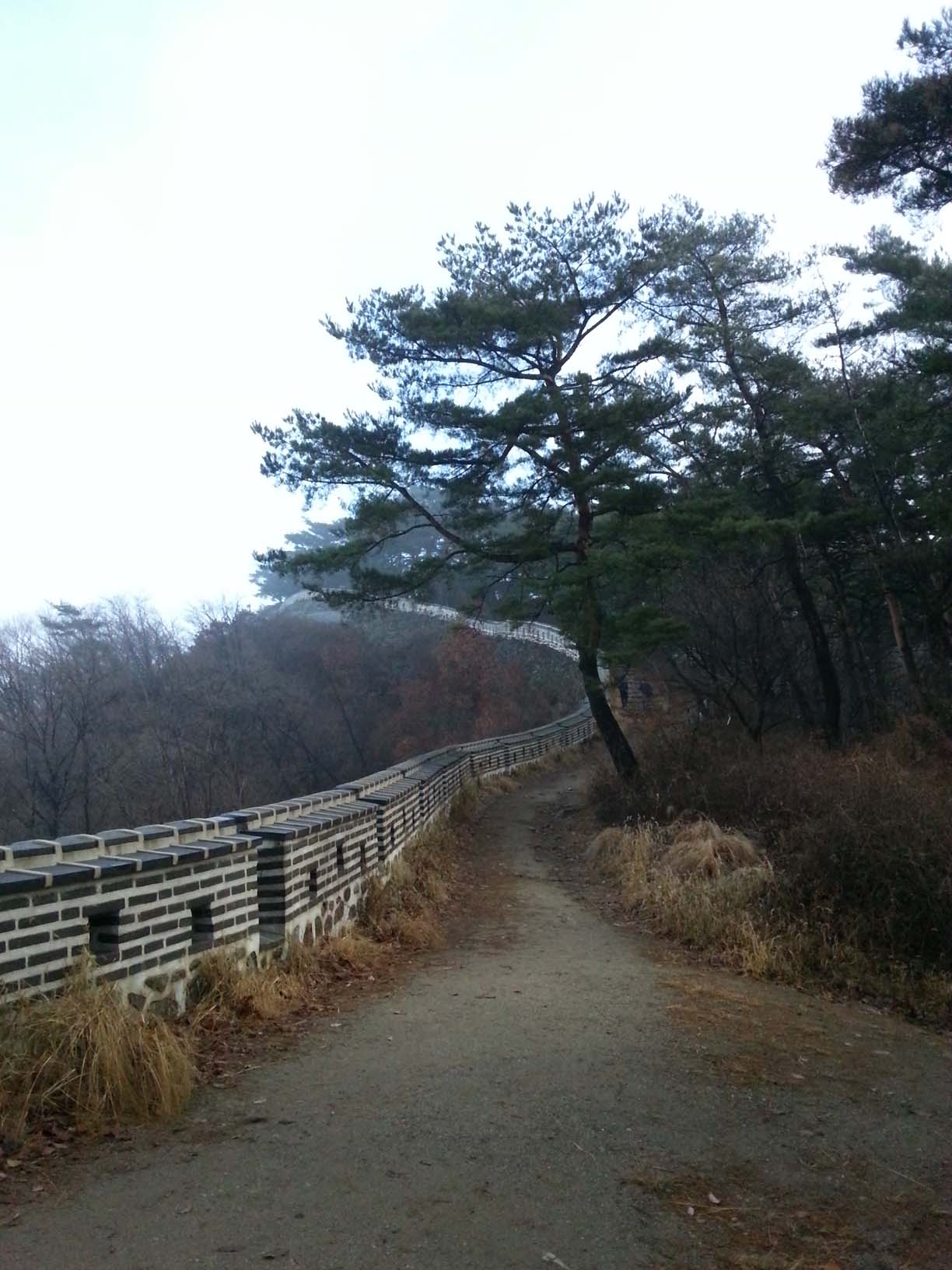 20141129_101809.jpg : [사진] 20141129 남한산성 허니비 & 객산