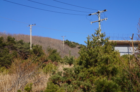 크기변환_DSC01270.JPG