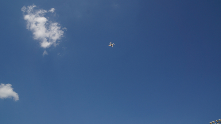 DSC05582.jpg