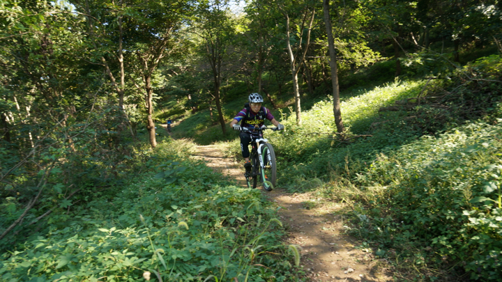 DSC05633.jpg