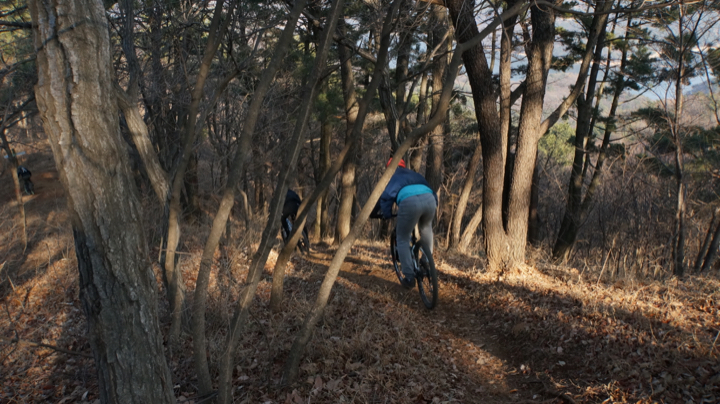 DSC08757.jpg