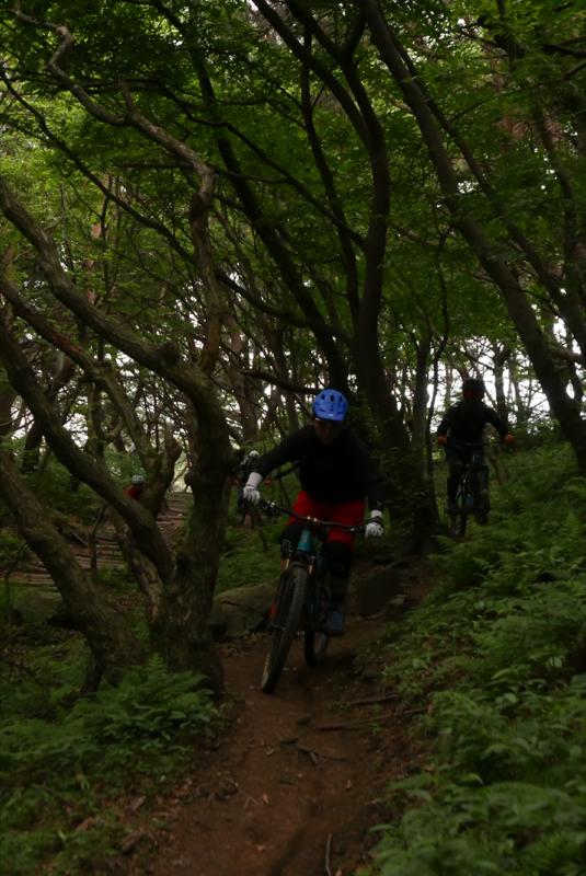 L1350164_800x535.jpg