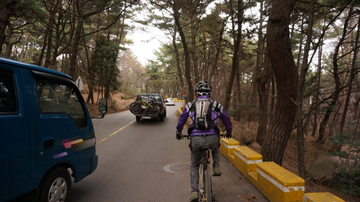 Bom20150208_030.jpg