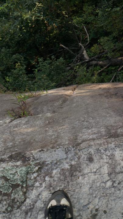 DSC05436_720x404.jpg