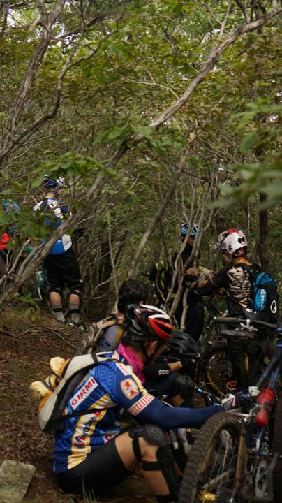 DSC05362_720x404.jpg